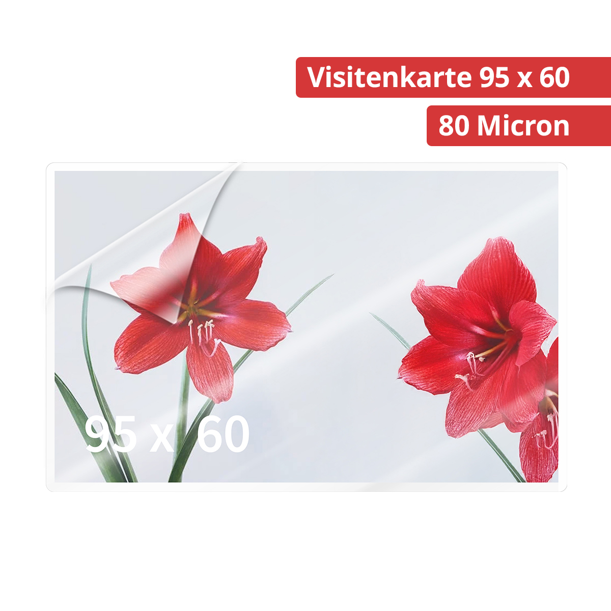 Olympia 9169 Laminierfolien Visitenkarten, 80µ, 100er Pack hochtransparent, hohe Qualität