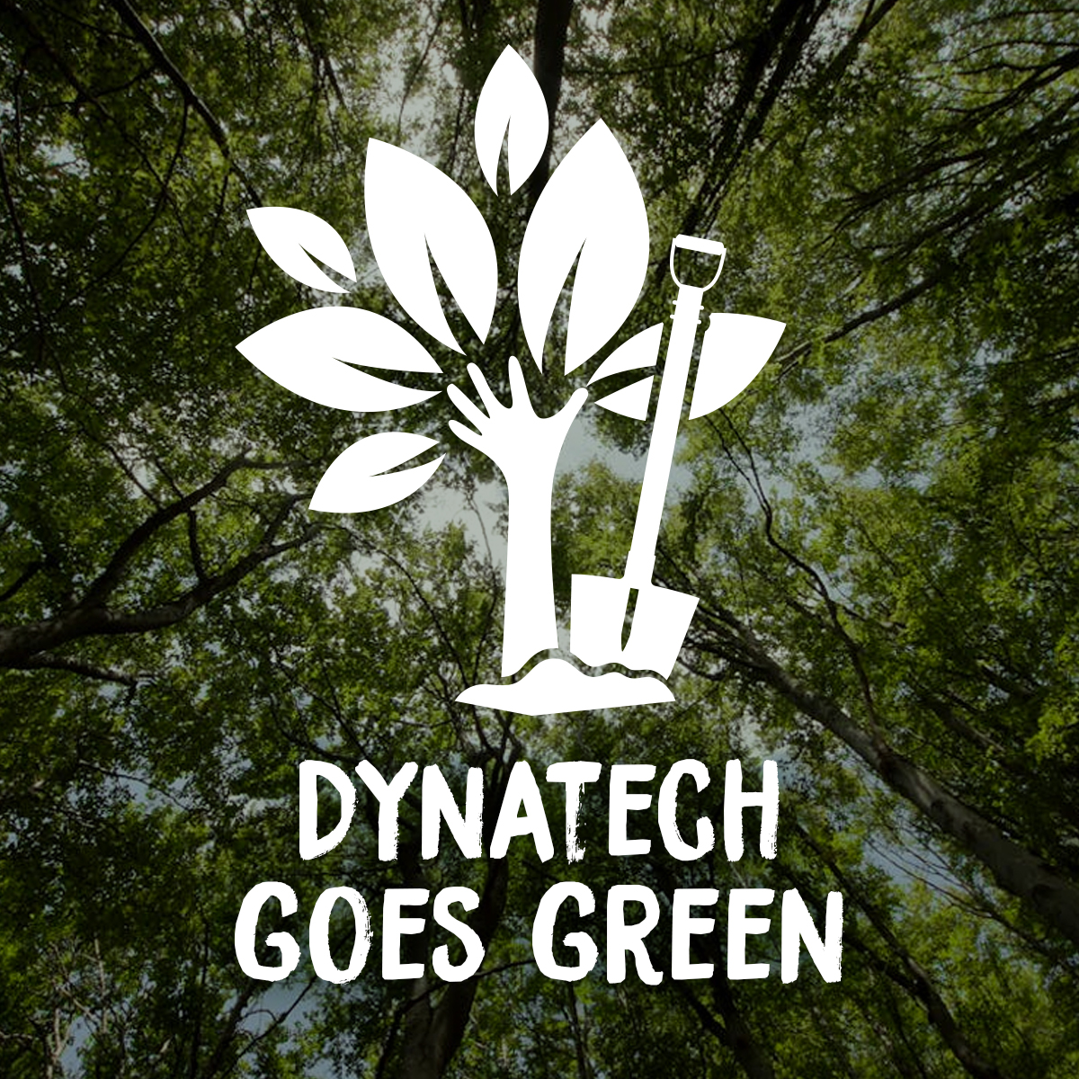 DynaTech goes green – Ein Baum für die Zukunft 