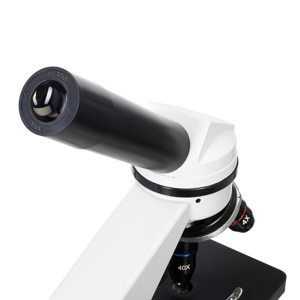 Levenhuk Rainbow 2L Mikroskop Moonstone, 40 - 400 fach, Ober- und Unterlicht, Experimentierset inkl. Netz- bzw. Batteriebetrieb