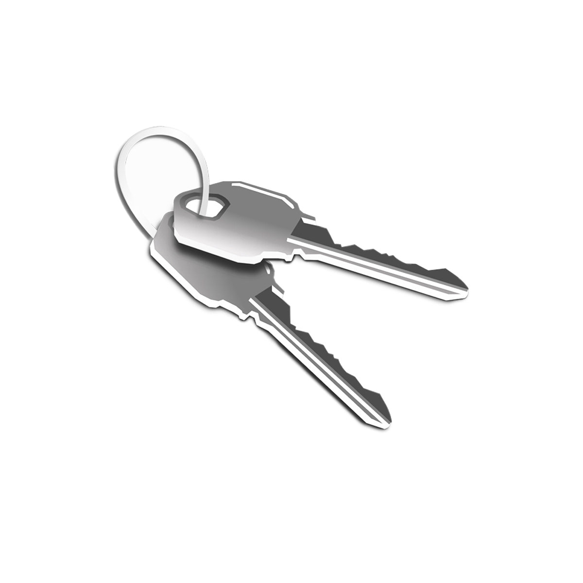 Formcase Ersatzschlüssel für TransformerCart T32/T36