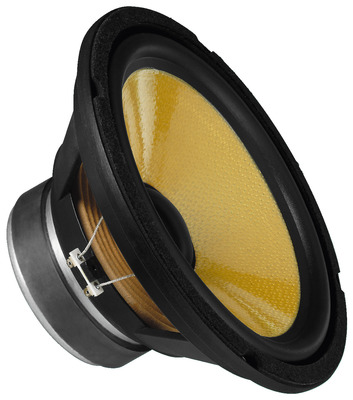 MONACOR SPH-250KE Top-Hi-Fi-Tieftöner, 100 W, 8 O