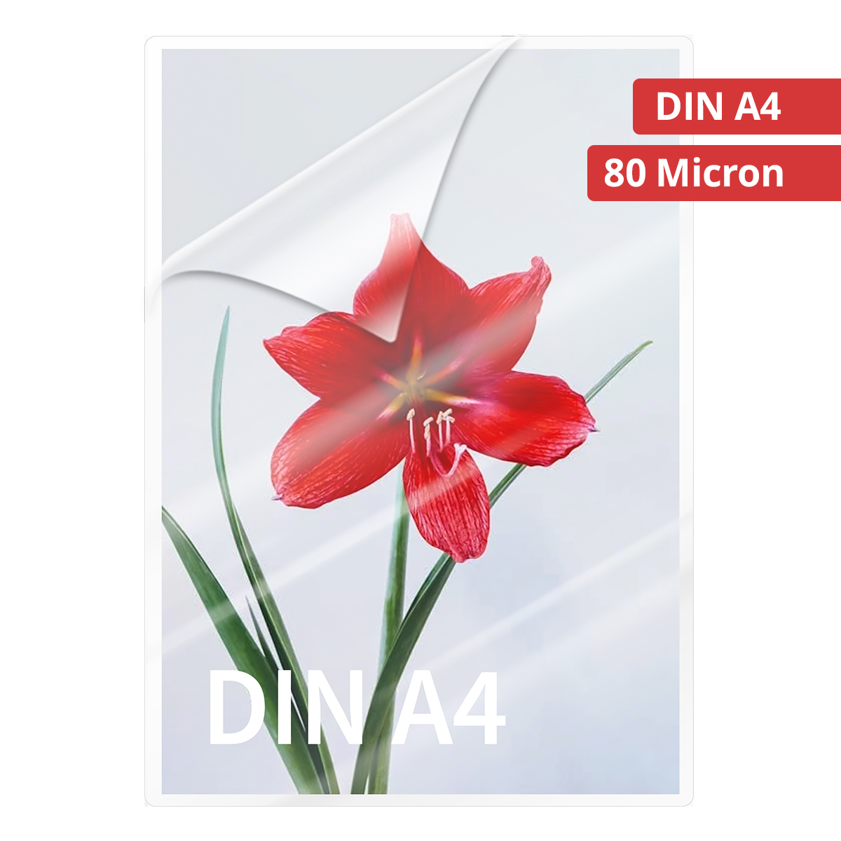 Olympia 9166 Laminierfolien DIN A4, 80µ, 100er Pack hochtransparent, hohe Qualität