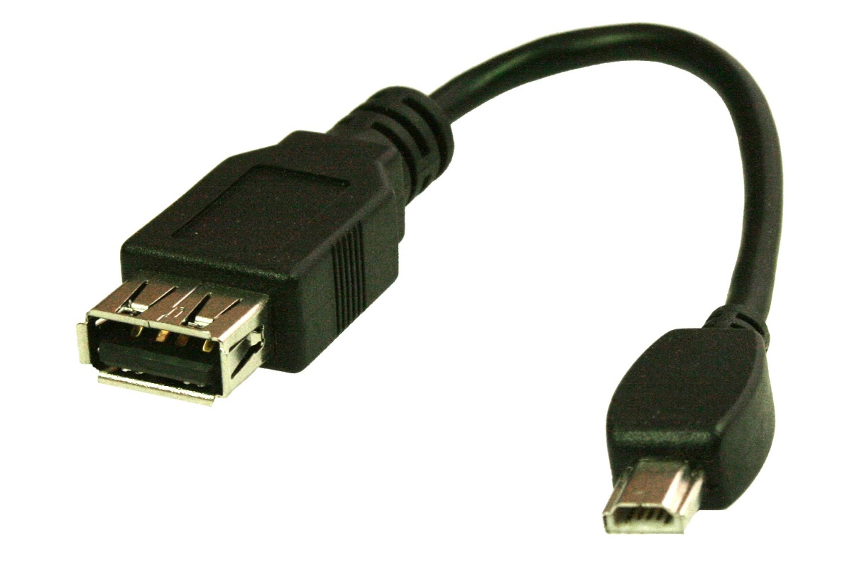 Vernier USB-A to Mini-USB (USB-MINI) Länge: 1 m zur Verbindung von Go!Link/-Temp an Easy-Port(USB)