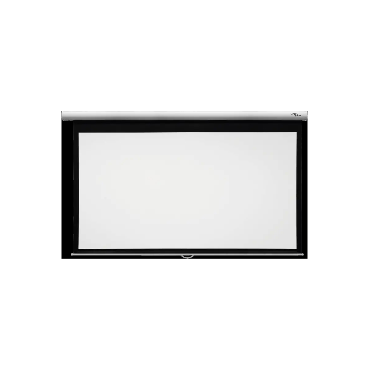 Optoma DS-9120MGA 120'' Leinwand (304,8 cm) 