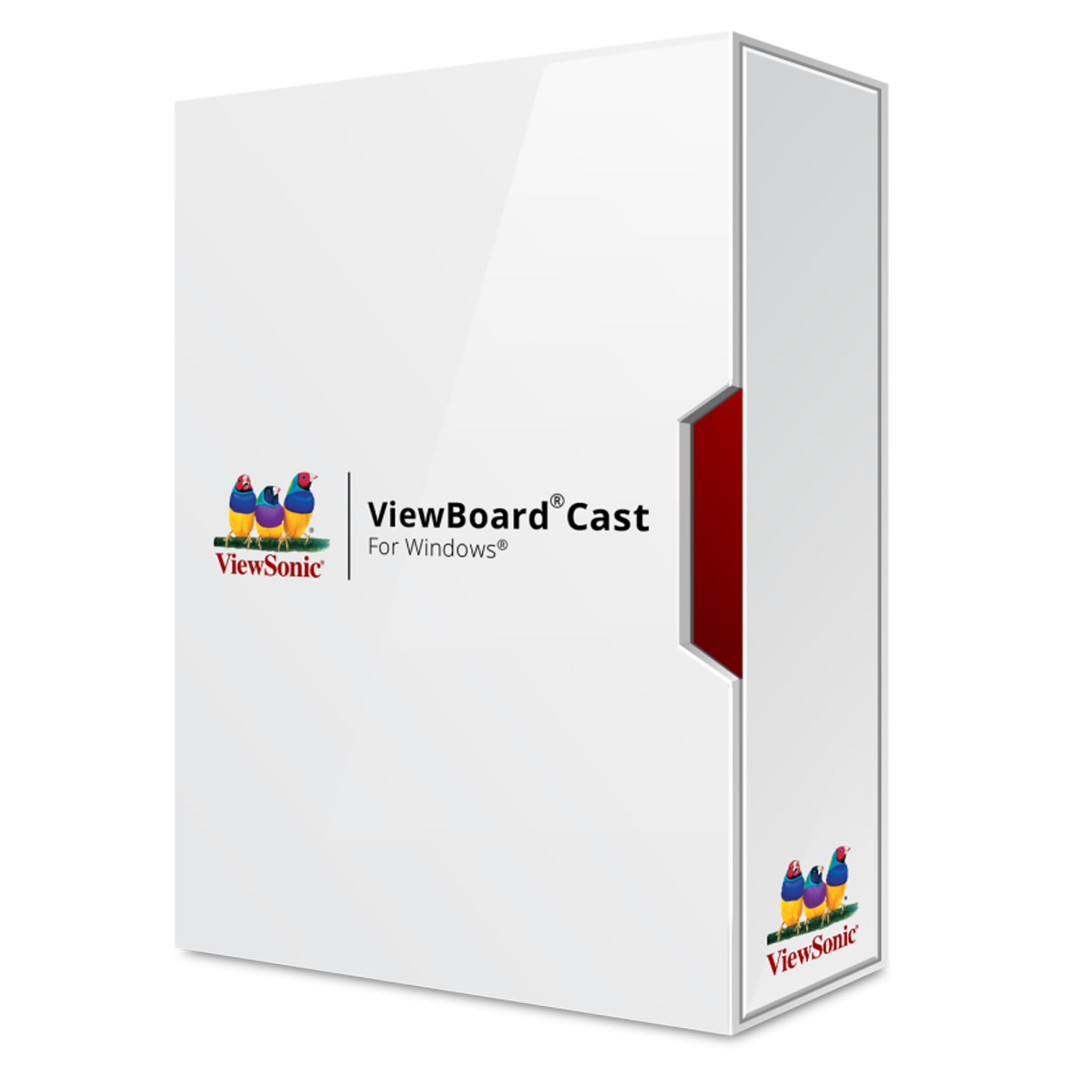 ViewSonic ViewBoard Cast Box-Pack, 4 Benutzer 