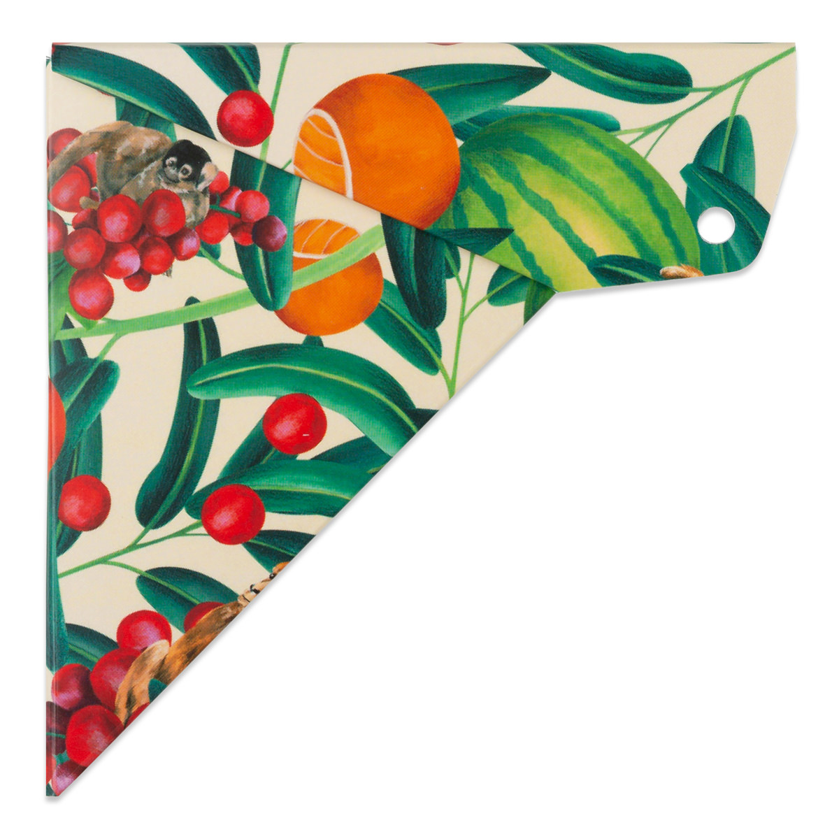 Aristo Geocover 16 cm mit Geodreieck AR1552 + Schutzhülle Motiv TropicLife 