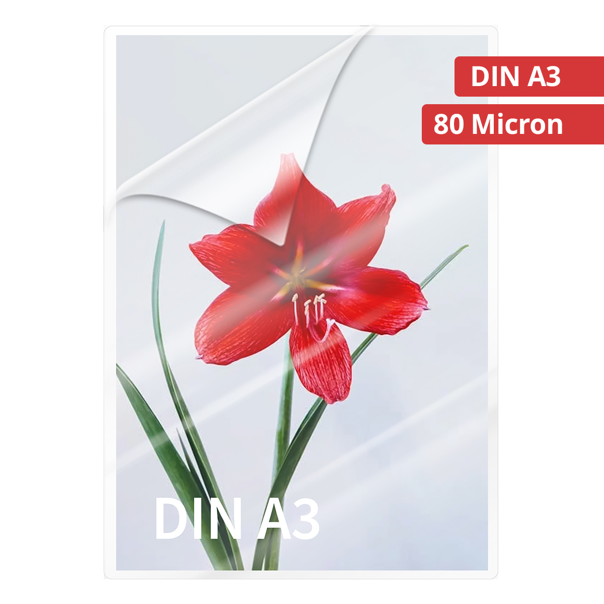 Olympia 9174 Laminierfolien DIN A3, 80µ, 50er Pack hochtransparent, hohe Qualität