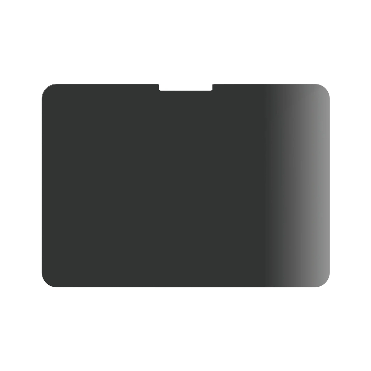PanzerGlass® Privacy Displayschutz Ultra-Wide Fit für iPad Pro 11'' (2024-2025)