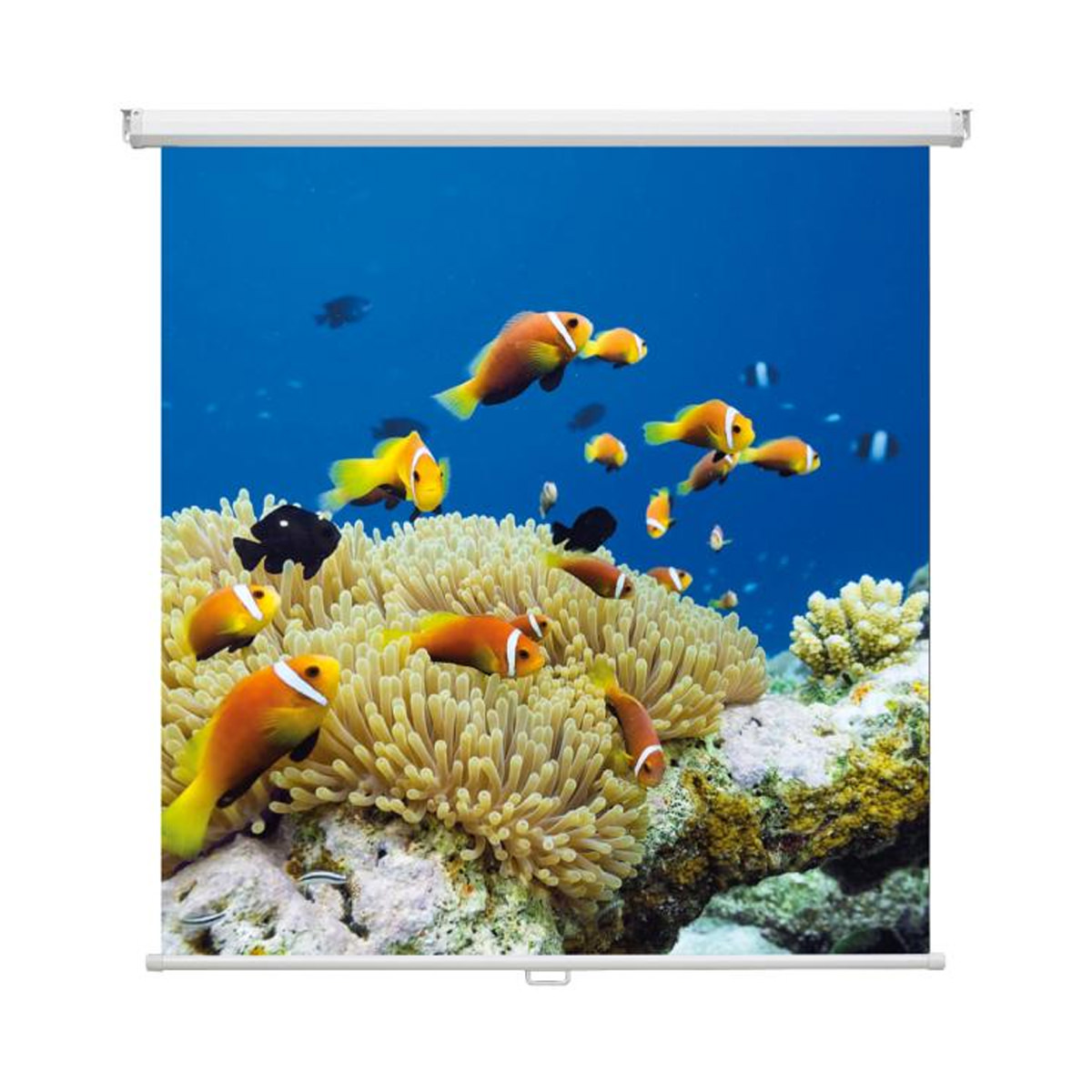 Magnetoplan 6201114 Rollo-Leinwand 180 x 180cm