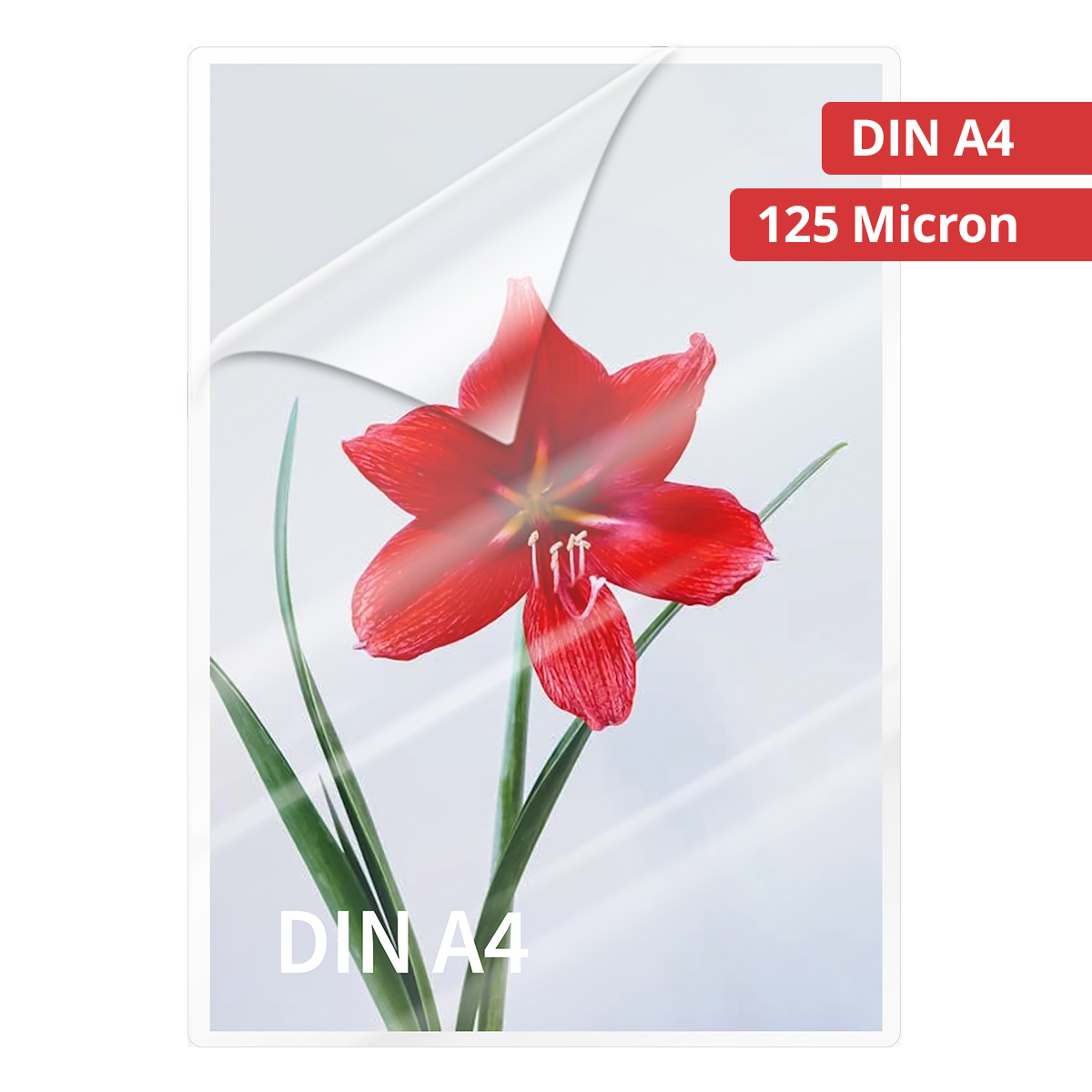 Olympia 9176 Laminierfolien DIN A4, 125µ, 100er Pack hochtransparent, hohe Qualität