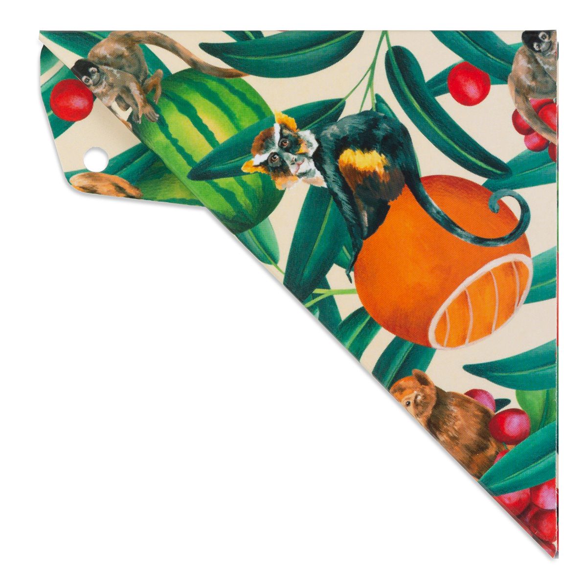 Aristo Geocover 16 cm mit Geodreieck AR1552 + Schutzhülle Motiv TropicLife 