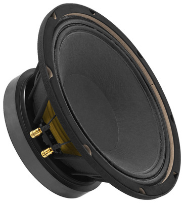 MONACOR SP-10/250PRO PA-Tieftöner, Subwoofer, 250 W, 8 O