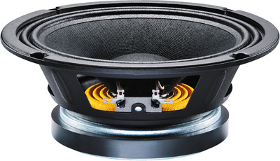 MONACOR TF-0818 Profi-PA-Tiefmitteltöner, 100 W, 8 O