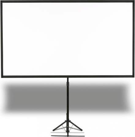 Epson Mobile X-Type Screen