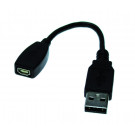 Vernier Adapter von Mini-USB auf Standard-USB MINI-USB