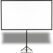 Epson Mobile X-Type Screen