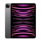 Apple iPad Pro Wi-Fi 256 GB 4. Generation Grau 11" Tablet - 27,9cm-Display
