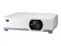 NEC Display P525WL - 3-LCD-Projektor - 5000 ANSI-Lumen - WXGA (1280 x 800)