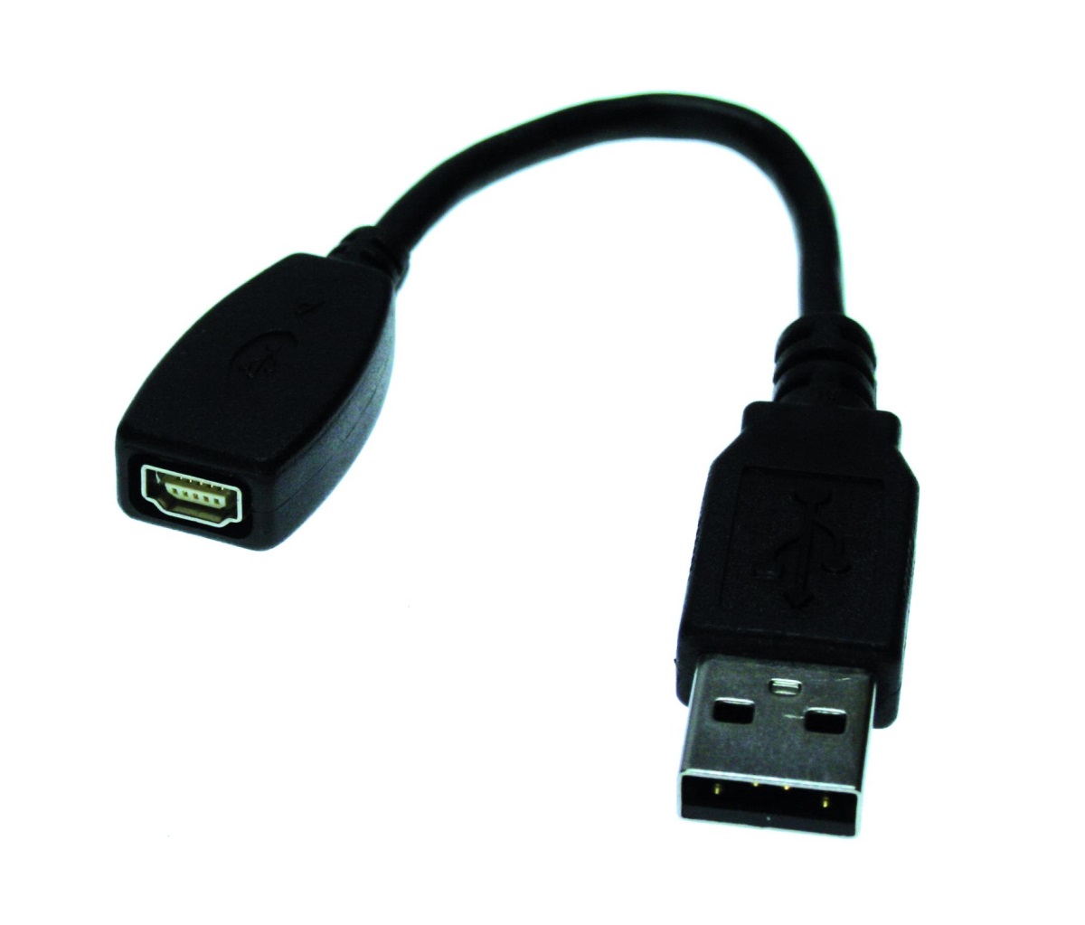 Vernier Easy to Go! Adapter (MINI-USB) für EZ-TMP und EZ-LINK zur Verbindung von EasyLink/-Temp an (PC-)USB