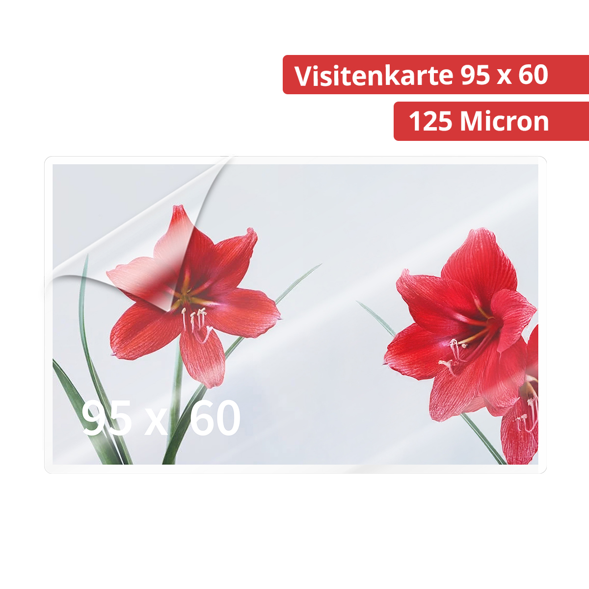 Olympia 9179 Laminierfolien Visitenkarten, 125µ, 100er Pack hochtransparent, hohe Qualität