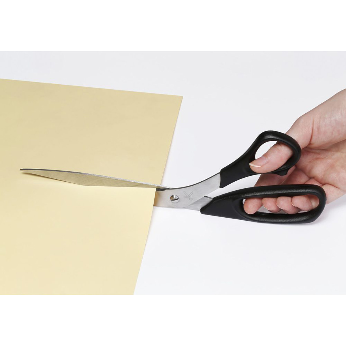 Dahle Professional Papierschere 10 Zoll 10 Zoll = 26 cm, rostfrei, Rechtshand 