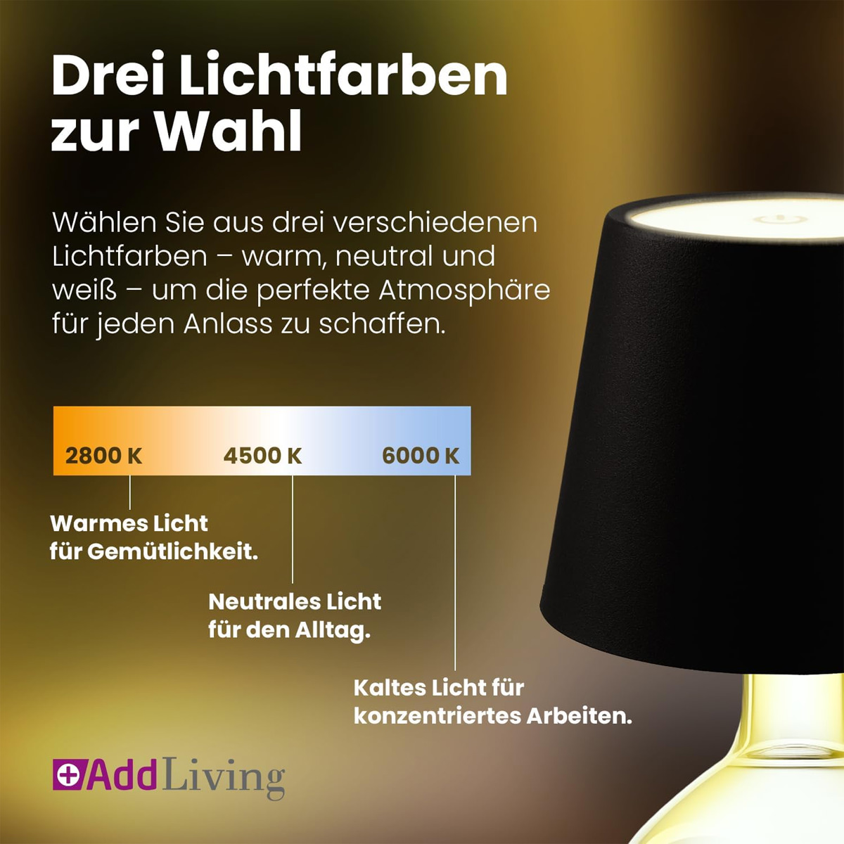 AddLiving LED Flaschenleuchte Schwarz 